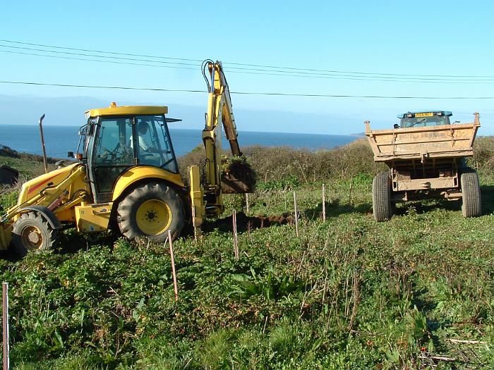 4 Digging Starts (4)